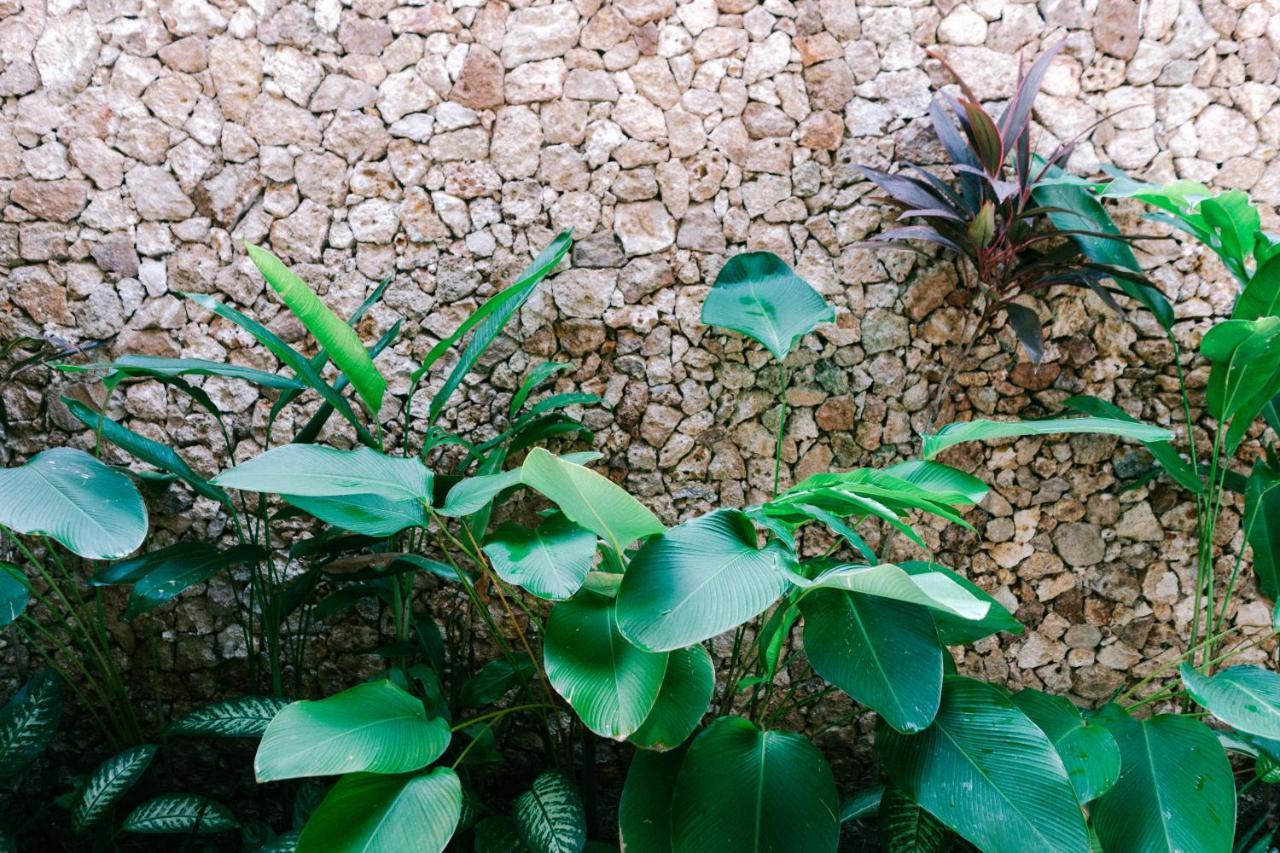 Hotel Mana Eco Retreat Kuta  Exteriér fotografie